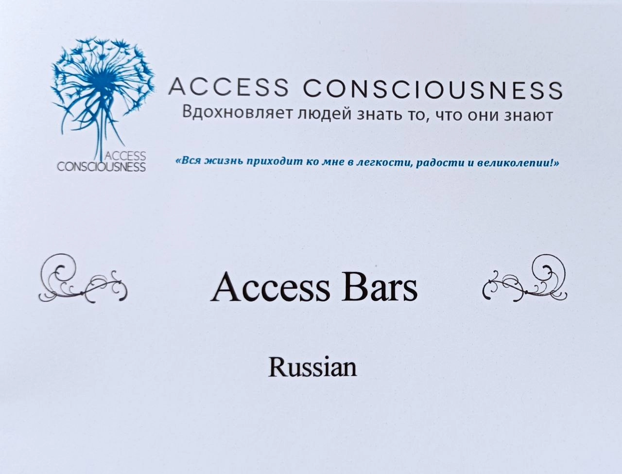 Дополнительный сертификат 29